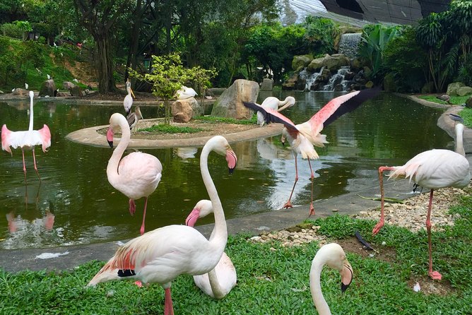 Private Tour to The Best of Animal Attractions in Kuala Lumpur - Tips for a Great Experience