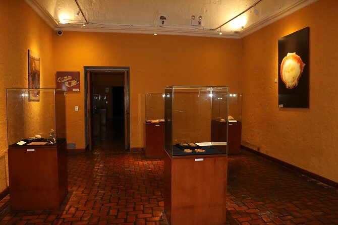 Private Tour to the Museum of Andean Sanctuaries in Arequipa - Museum Exhibits