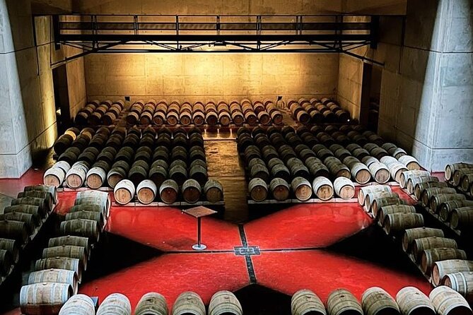 Private Tour: Wineries for the Day in Mendoza - Immersive Wine Tasting Experiences