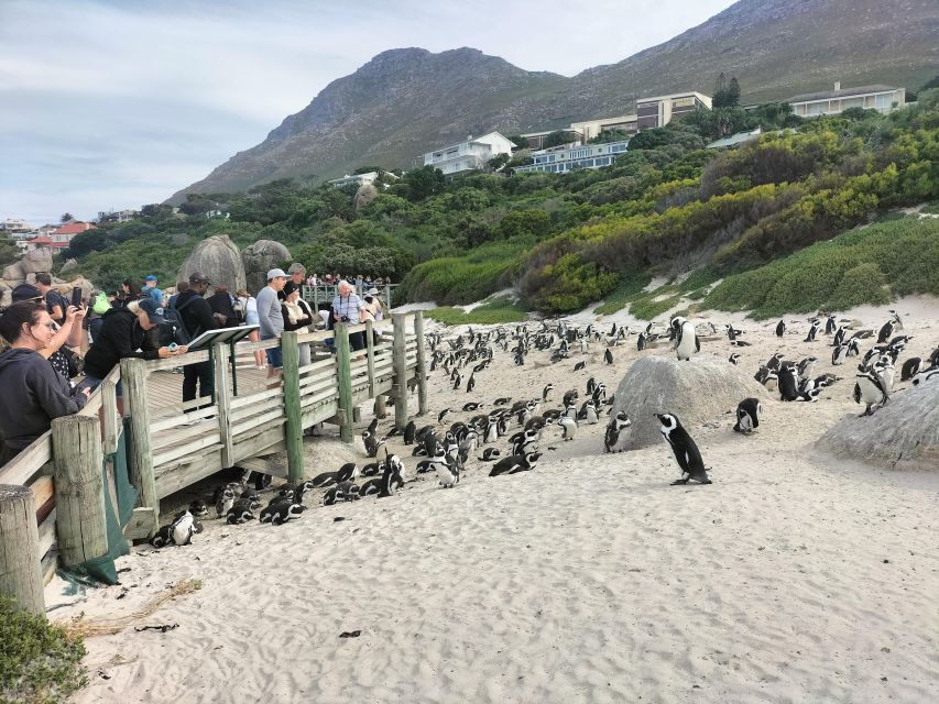 Private Tour:Cape Peninsula &Penguin Beach, Cape Point &more - Important Information