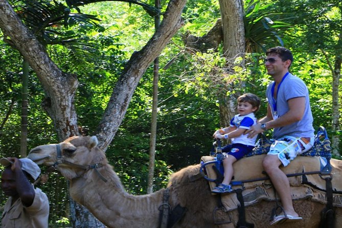 Private Transfer to Yaaman Adventure Park From Ocho Rios - Accessibility and Participation