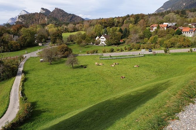 Private Trip From Zurich to Vaduz in Liechtenstein & Swiss Heidiland - Travel Tips