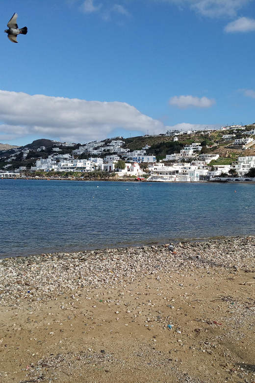 Private Walking Tour in Mykonos Town With a Local Guy - Mykonos Town History