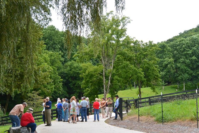 Private Walking Tour of a Real Working Cattle Ranch - Engage With the English-Speaking Guide