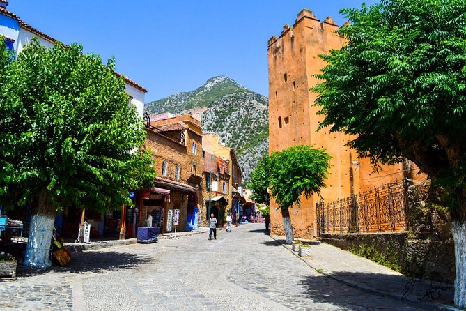 Private Walking Tour of Chefchaouen (The Blue City) - Local Culture and Architecture