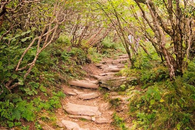 Private Waterfall and Blue Ridge Parkway Tour With a Naturalist - Pricing and Booking Details