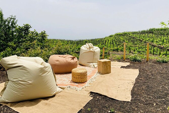 Private Wine and Food Tasting Immersed in Nature in Milo - Guest Testimonials