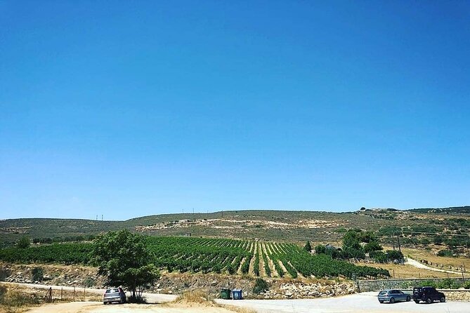 Private Wine Tasting & Lunch @ Lyrarakis Winery - Transfer Inclu - Pickup and Accessibility Information