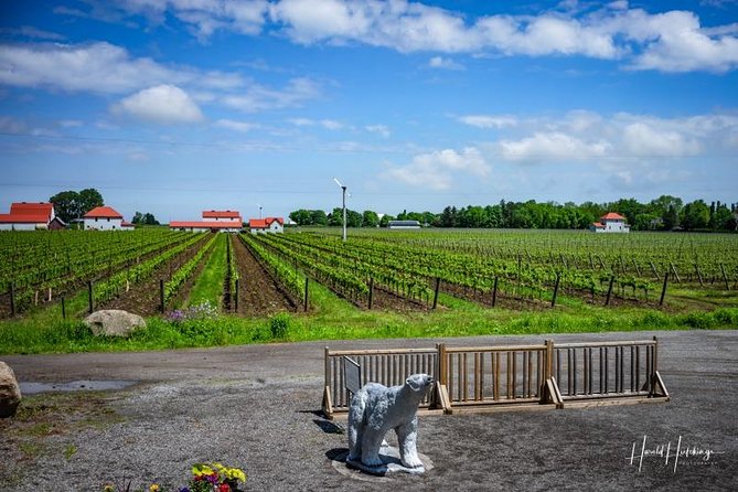 Private Winery Tour of Niagara-on-the-Lake - Customer Experiences