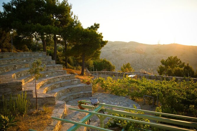 Professional Tour With Winemaker in Ikaria - Inclusions for the Tour Experience