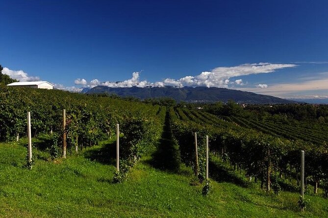 Prosecco Region Private Full-Day Winery Tour From Treviso - About the Guide