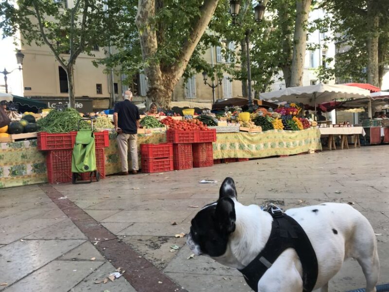 Provencal Market Walking Tour With Tastings - Customer Reviews