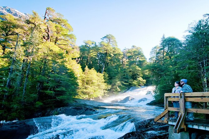 Puerto Blest Cruise & Waterfalls Hike With Optional Frias Lake - Patagonian Flora and Ecosystems