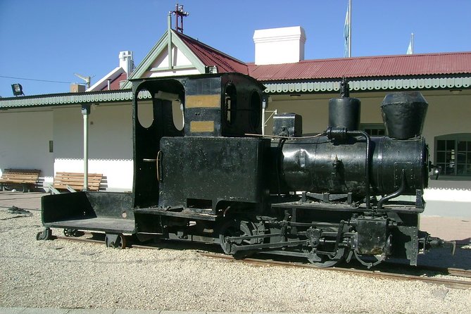 Puerto Madryn Shore Excursion: Private Tour of Trelew and Gaiman - Paleontological Museum in Trelew
