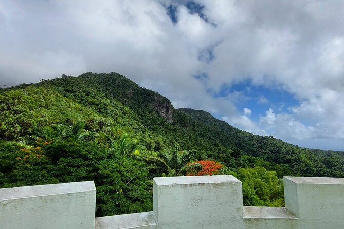Puerto Rico: El Yunque Sightseeing Half-Day Tour With Transfer - Exploring the Rainforest Trails