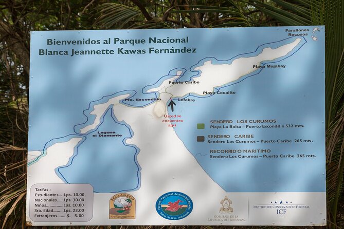 Punta Sal Tela Day Trip From San Pedro Sula - Convenient Hotel Pickup and Dropoff