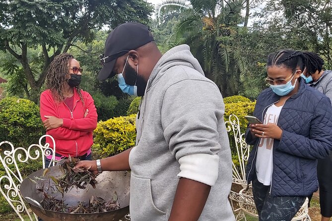Purple Tea Farm Tour From Nairobi City - Specialty Tea Tasting - Health and Safety Considerations