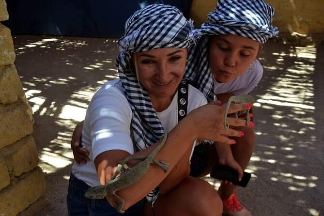 Quad 3 Hours VIP Safari Adventure Hurghada - Positive Reviews and Guest Feedback