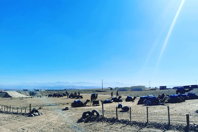 Quad Ride In The Agafay Desert - Safety and Accessibility