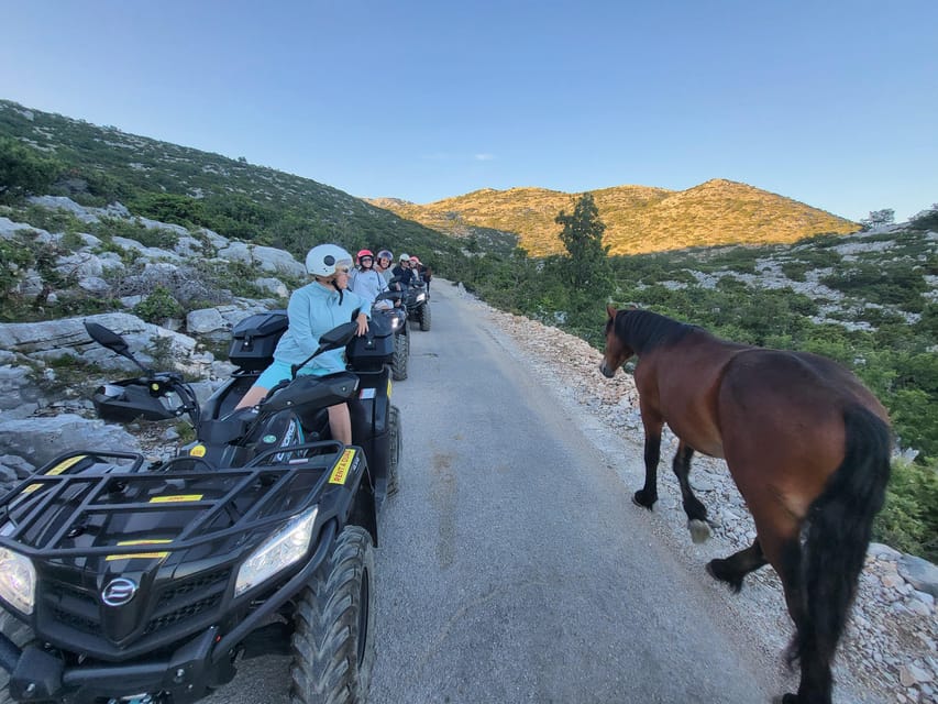 Quad Tour to Biokovo Skywalk - Customer Feedback