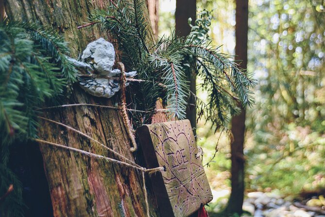 Quarry Rock Hike and Deep Cove Photography - Cancellation Policy