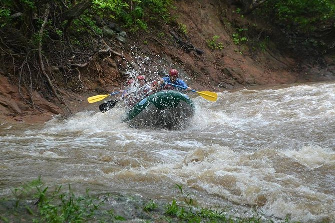 3 Best Workshops And Classes In Monteverde