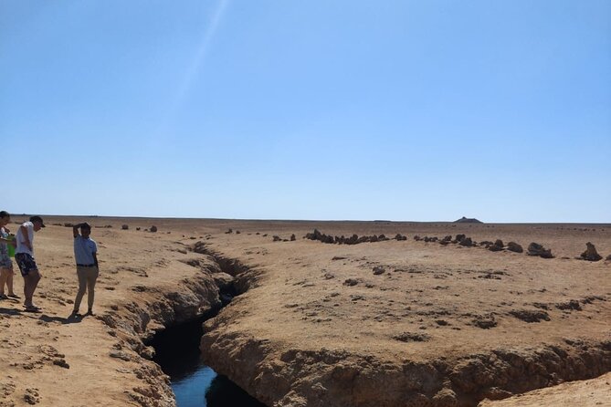 Ras Mohammed National Park Half Day Tour by Bus - Sharm El Sheikh - Snorkeling and Activities