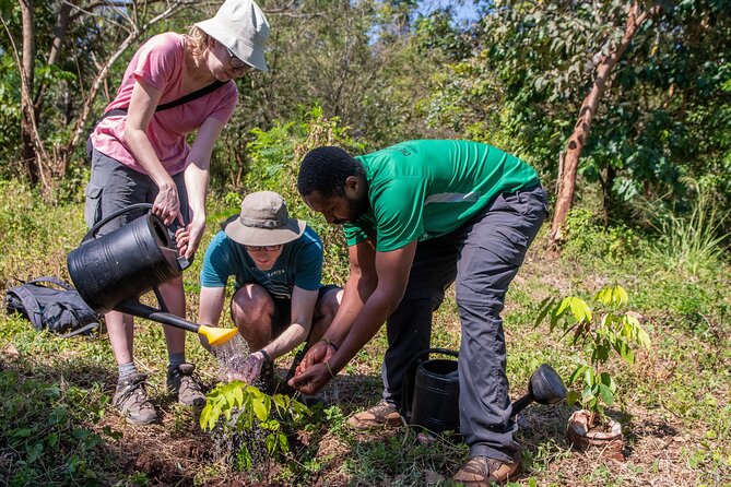 Rau Forest Nature Walk (One Trip - One Tree) - Health and Accessibility