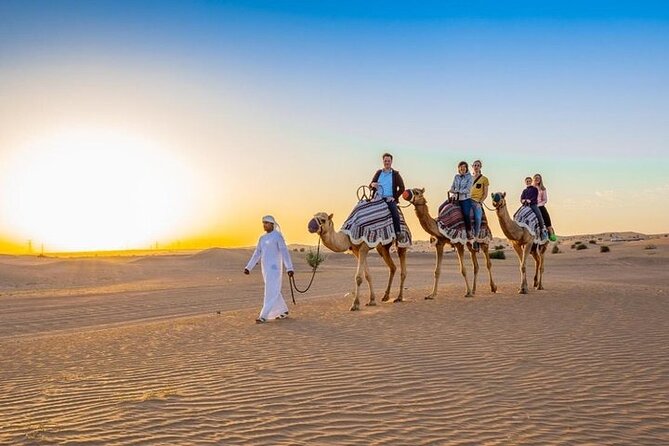 Red Dunes Desert Safari With 4x4 Pick up & Drop, Camel Ride, BBQ and Live Shows - Additional Activities and Options