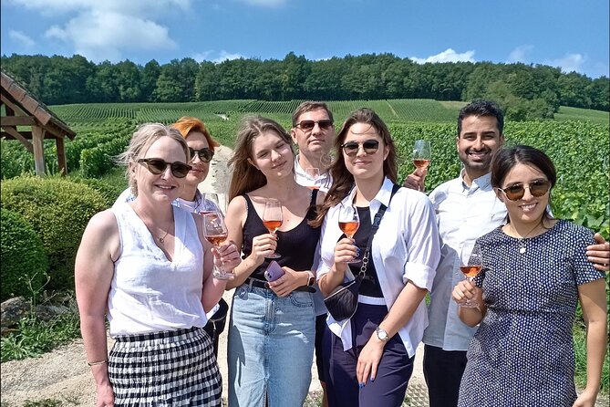 Reims City Private Full Day Champagne Guided Tour - Viators Company Background