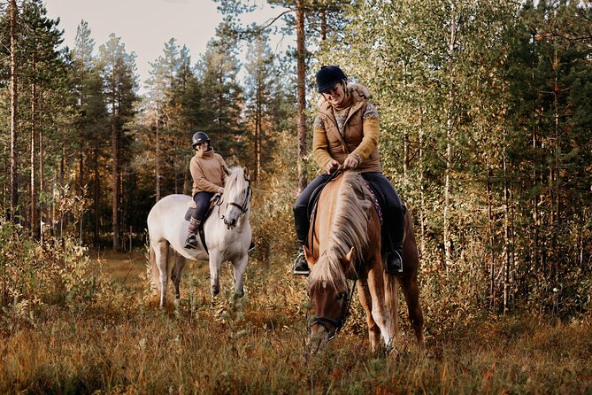 Riding Tour With Finnhorses at Santa Claus Village - Meeting Point and Accessibility Details