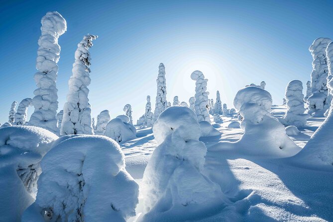 Riisitunturi Wilderness Adventure - Expert Wilderness Photography