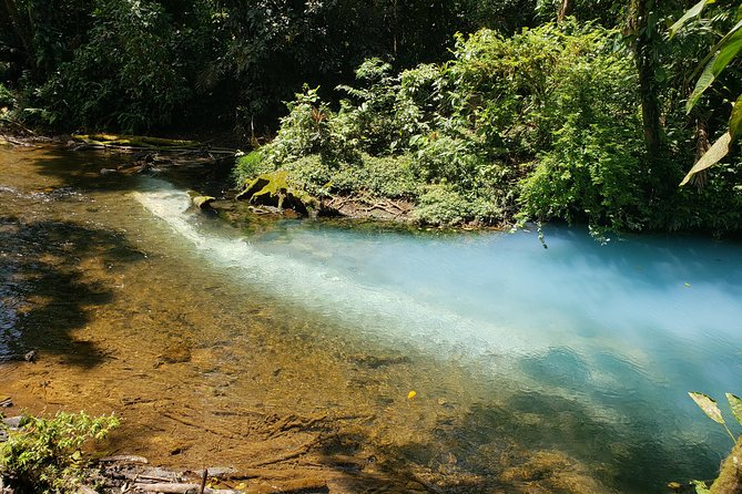 Rio Celeste Waterfall Hike and Swimming at the River 9 People Max - Ideal Visiting Season