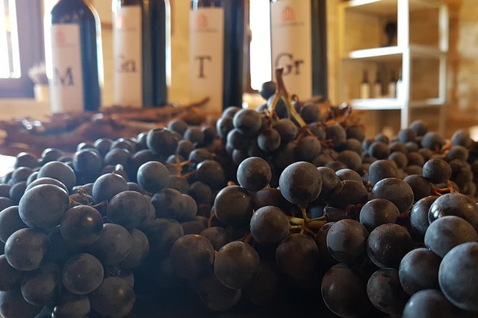 Rioja Wine Tasting Tour From San Sebastian - Logistics and Practical Information