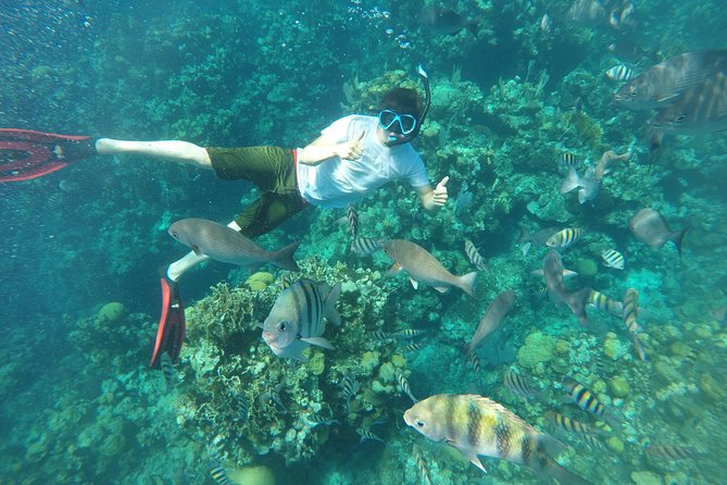 ROATAN: Zipline-Sloths-Snorkeling-City Tour Chocolate & Rum - Booking Information