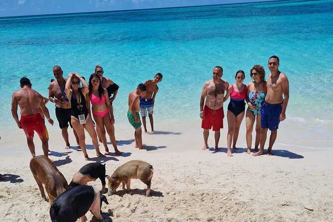 Rose Island Swimming Pigs Half-Day Boat Tour With Lunch - Tour Operator and Pricing