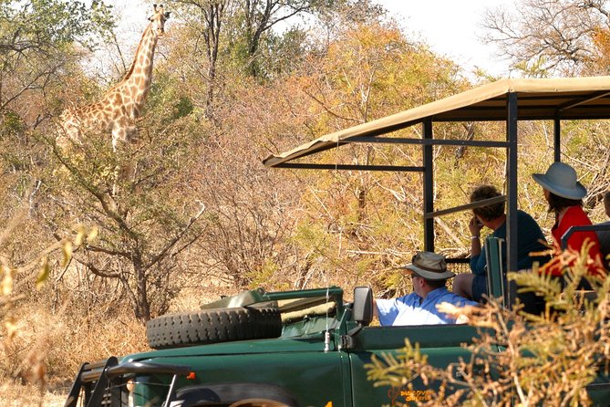 Safari Game Drive in Zambezi National Park With Hotel Pickup - Tips for an Enjoyable Tour