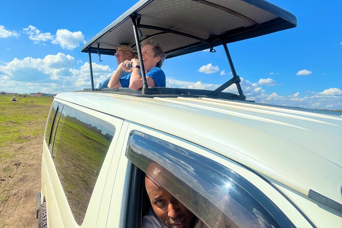 Safari in Nairobi Kenya National Park Half Day Tour - Traveler Reviews and Insights