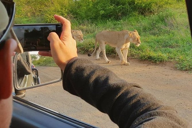 Safaris in Kruger National Park Full Day - Customer Reviews and Experiences