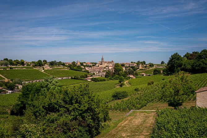 Saint Emilion Half Day Ebike and Wine Tour With Picnic. - Ebike and Wine Experience