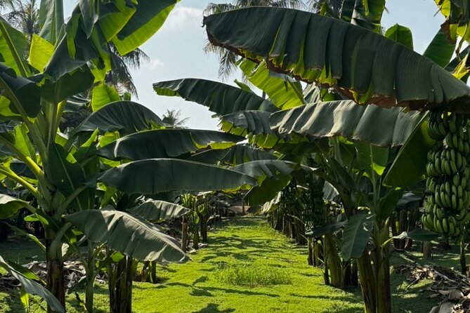 Salalah City Tour: Discover Salalahs Treasures With a Local Guide - Customer Reviews and Testimonials