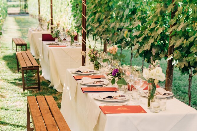 San Gimignano Romantic Dinner in the Vineyards - Guest Reviews and Feedback