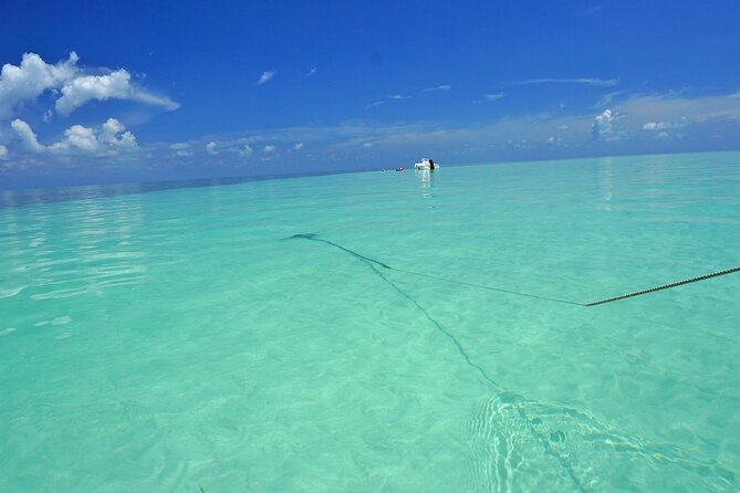 Sandbar Excursion in Key West - Booking Process and Policies