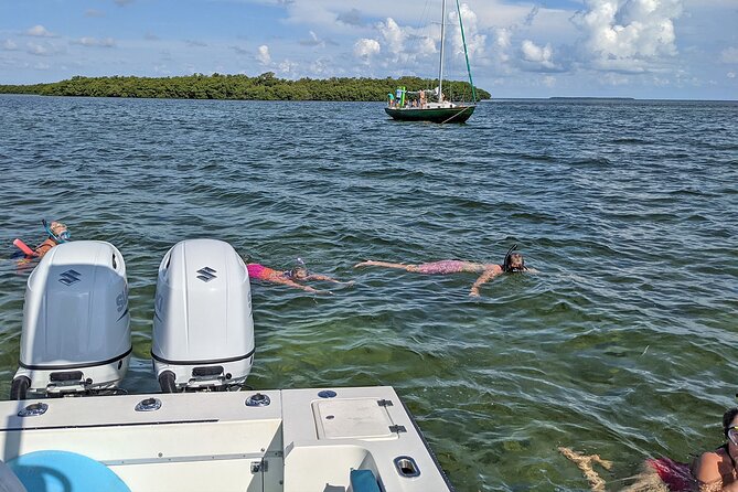 Sandbar Excursion in Key West - Accessibility Information