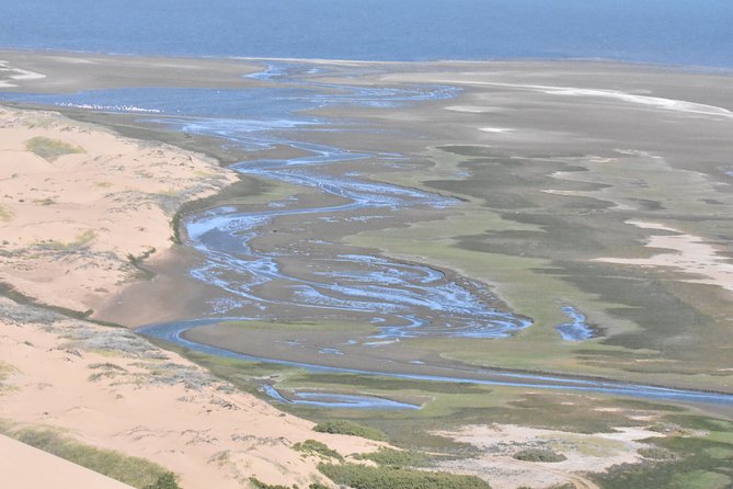 Sandwich Harbour Adventure: Seals and Sandwich Harbour Dune Drive - Unique Experiences and Activities