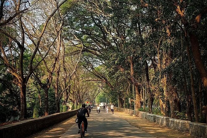 Sanjay Gandhi National Park and Kanheri Caves Day Private Tour - Booking Your Tour