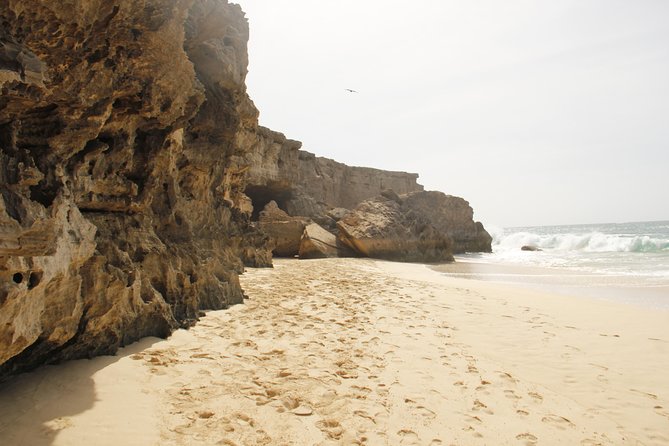 Santa Monica NO Stress Tour - Guest Reviews and Ratings