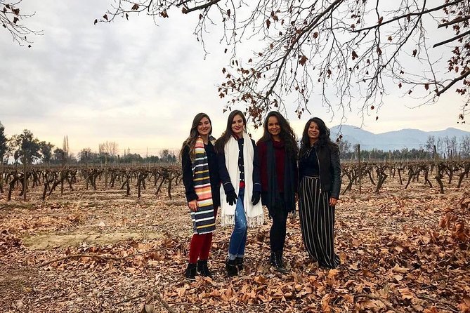 Santa Rita Vineyard Tour - Exploring the Vineyard