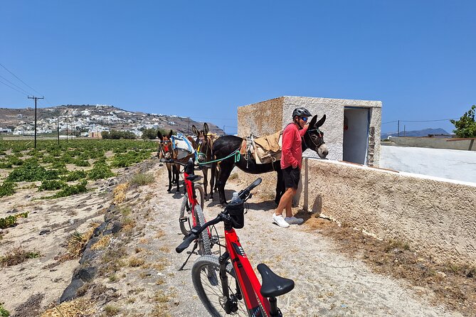 Santorini: E-Bike Tour Experience - Tour Route and Destinations