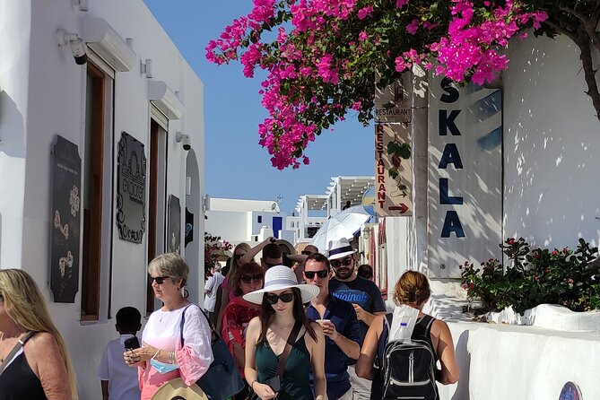 Santorini Shore Excursion: 5-hour Small Group Semi-Private Tour - Accessibility and Confirmation